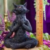 Yoga Cat at DreamingGoddess.com