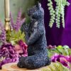 Yoga Cat at DreamingGoddess.com