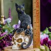 Grimalkin's Ghost Statue at DreamingGoddess.com