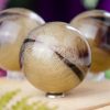 Yak Horn Sphere at DreamingGoddess.com