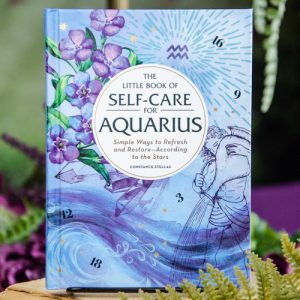 The Little Book of Self-Care for Aquarius at DreamingGoddess.com