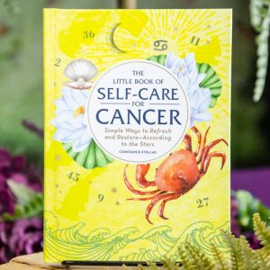 The Little Book of Self-Care for Cancer at DreamingGoddess.com