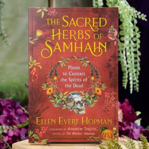 The Sacred Herbs of Samhain at DreamingGoddess.com