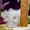 Quartz Cluster Skull at DreamingGoddess.com