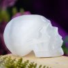Large Selenite Traveler Skull at DreamingGoddess.com