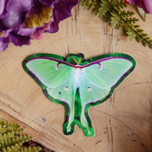 Luna Moth Sticker at DreamingGoddess.com