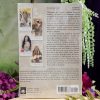 The HooDoo Tarot at DreamingGoddess.com