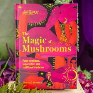 The Magic Of Mushrooms at DreamingGoddess.com