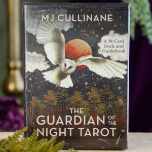 The Guardian Of The Night Tarot at DreamingGoddess.com