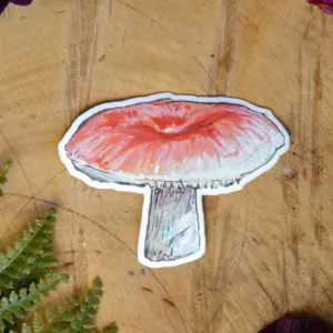Mushroom Sticker at DreamingGoddess.com