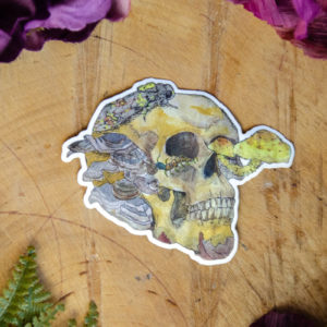 Skull Sticker at DreamingGoddess.com