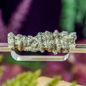 Fulgurite at DreamingGoddess.com