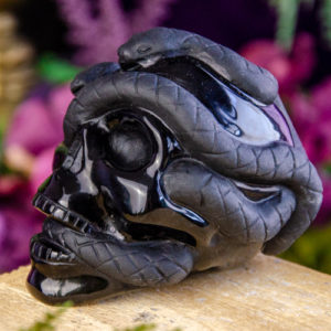 Black Obsidian Skull with Snake at DreamingGoddess.com
