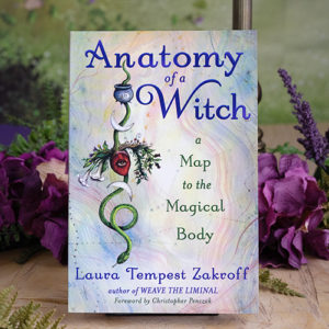 Anatomy of a Witch Book at DreamingGoddess.com