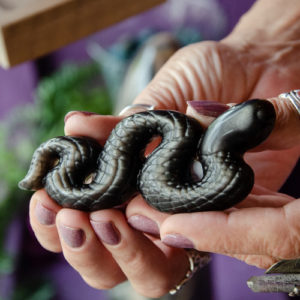 Obsidian Sheen Snake Carving at DreamingGoddess.com