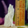 Wolf Moose Antler Carving at DreamingGoddess.com