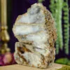 Fossilized Coral, Agatized Coral at DreamingGoddess.com