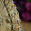 Ammonite with Skull Carvings at DreamingGoddess.com