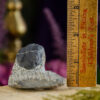 Trilobite Fossil at DreamingGoddess.com