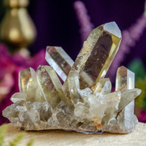 Citrine Natural Congo Point Cluster at DreamingGoddess.com