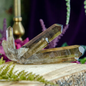 Citrine Natural Congo Point Cluster at DreamingGoddess.com