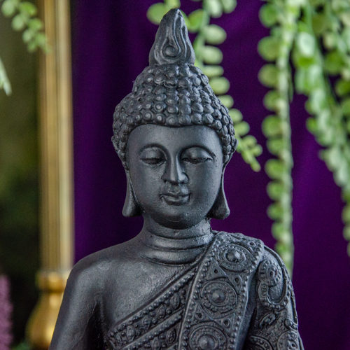 Shungite Buddha, Buddha Statue, EMF Protection, Home Decor, Home Acces –  Canyon Crystals