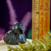 Terminated Black Tourmaline at DreamingGoddess.com