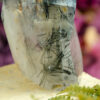 Tourmalated Quartz Point at DreamingGoddess.com