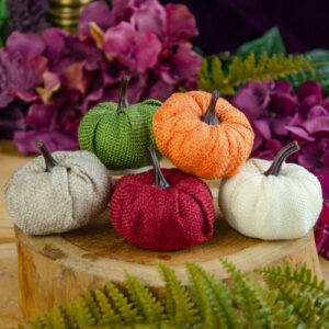 Set of Pumpkins at DreamingGoddess.com