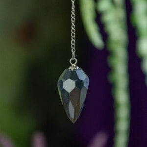 Faceted Shungite Pendulum at DreamingGoddess.com