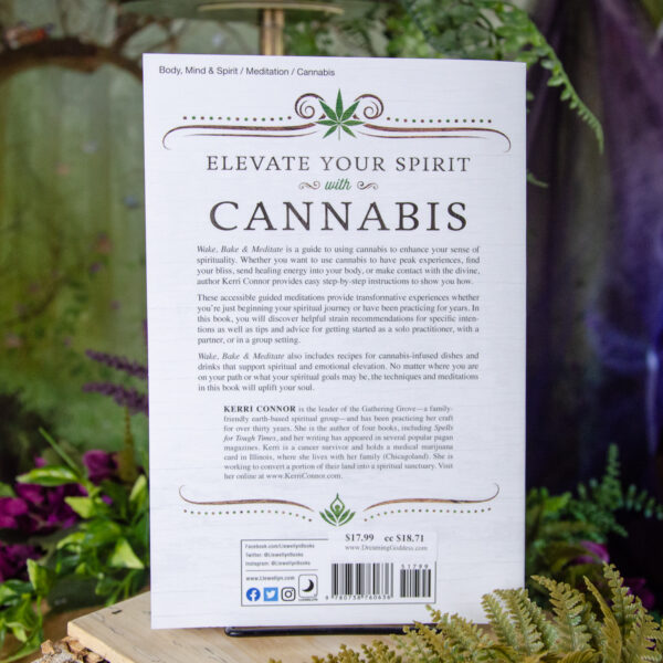 Wake, Bake, and Meditate Book by Kerri Connor at DreamingGoddess.com