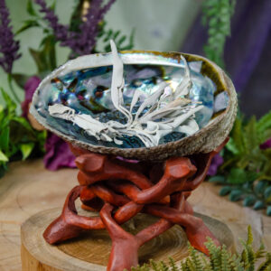 Abalone Shell with Rosewood Stand at DreamingGoddess.com