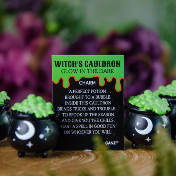 Witch's Cauldron Charm at DreamingGoddess.com