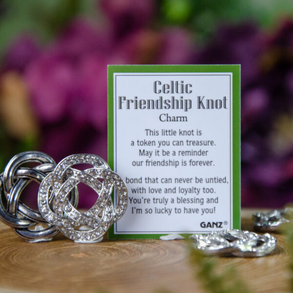 Celtic Friendship Knot Charm at DreamingGoddess.com