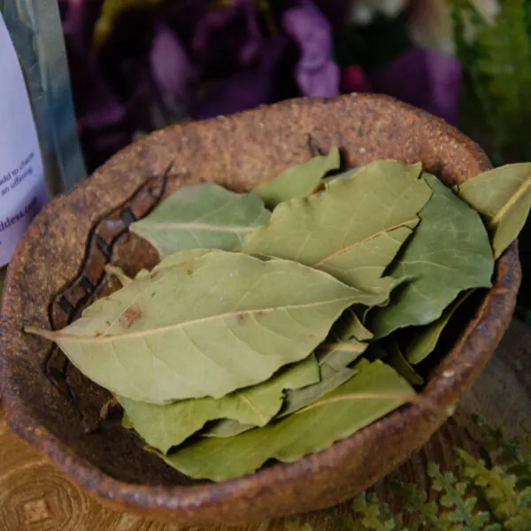 Bay Leaves at DreamingGoddess.com