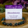 Bloodstone beaded bracelet at dreaminggoddess.com
