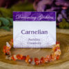Carnelian chip bracelet at dreaminggoddess.com