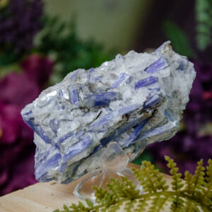 Kyanite Specimen at DreamingGoddess.com