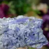 Kyanite Specimen at DreamingGoddess.com