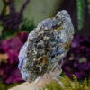 Kyanite and Garnet Specimen at DreamingGoddess.com