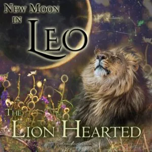 new moon at the dreaminggoddes.com