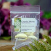 Cowrie Shells at DreamingGoddess.com