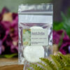 Sand Dollars at DreamingGoddess.com