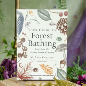 Your Guide to Forest Bathing Book at DreamingGoddess.com