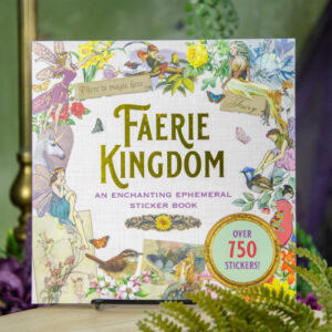 Faerie Kingdom Sticker Book at DreamingGoddess.com