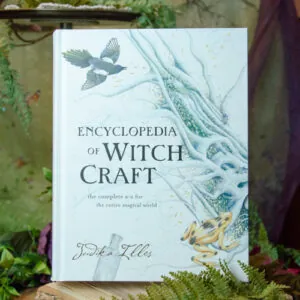 Encyclopedia of Witchcraft at DreamingGoddess.com