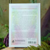Angel Numbers Book at DreamingGoddess.com