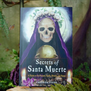 Secrets of Santa Muerte Book at DreamingGoddess.com