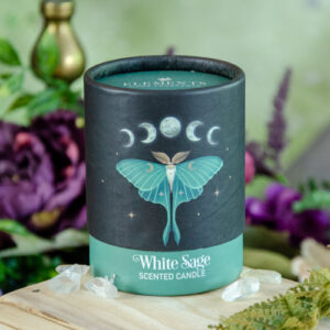 Luna Moth White Sage Candle at DreamingGoddess.com
