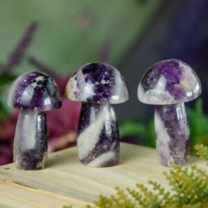 Amethyst Mushrooms at DreamingGoddess.com